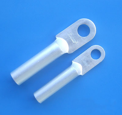 DLȫ�X������